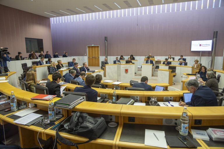 Zehn Sitzungen mit insgesamt zwölf Sitzungstagen gab es heuer im Landtag.Hartinger (3), VLK, Vol.at, Paulitsch, Steurer, Shutterstock, DPA/Pleul
