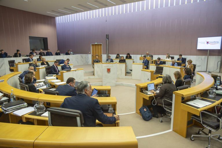 Am Mittwoch tagt wieder der Landtag. Es sind zwei Proteste angekündigt.paulitsch