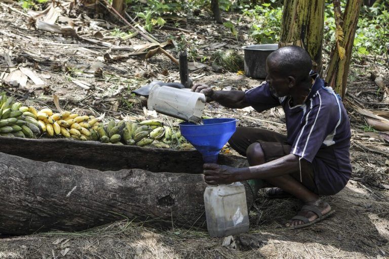 Das Getränk wird aus Bananen gemacht.AP/HAJARAH NALWADDA