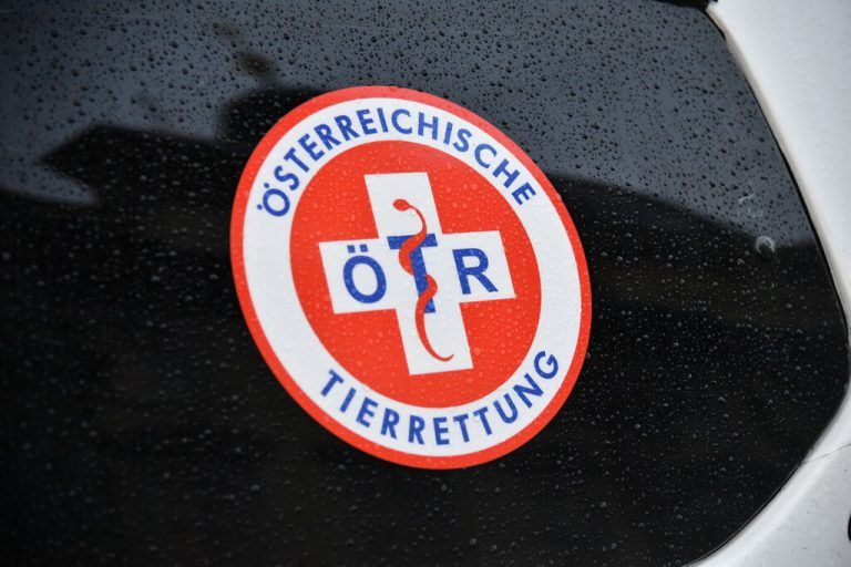 Die Österreichische Tierrettung setzt sich für den Tierschutz ein.APA
