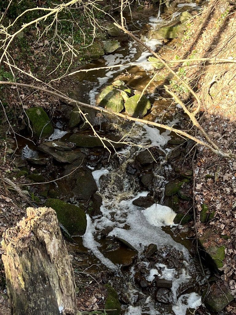 Die Verschmutzung im Mehlbach.Kantonspolizei st. Gallen