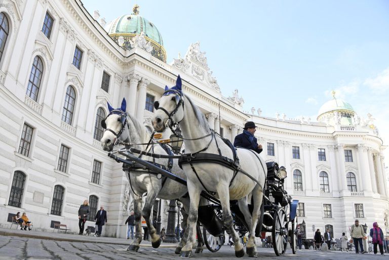 Fiakerkutsche in der Wiener Innenstadt. apa/Hans Klaus Techt