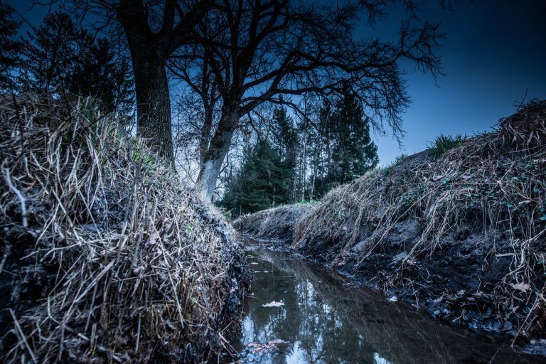 Die Leiche wurde im Lustenauer Ried abgelegt.hartinger