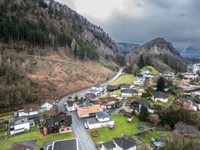 Oben: Im Klauser Wald wurde massiv gerodet. Rechts: Kunst in Feldkirch.Hartinger (3), Gemeinde götzis, Geyer