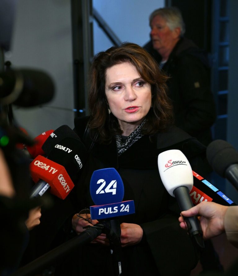 Astrid Wagner vertritt die Mutter des Jungen.apa