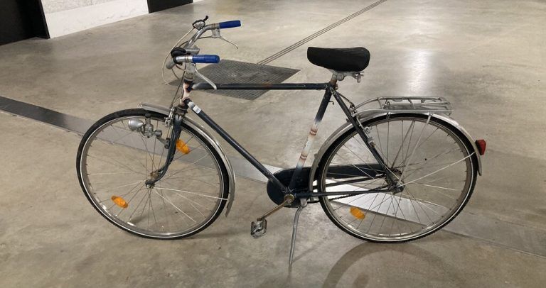 Das Fahrrad. PI dornbirn