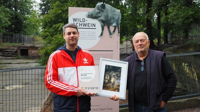 Dass das frühere Gehege der Auerochsen und Mufflons nun leer steht, findet Vereinspräsident Wolfgang Burtscher mehr als schade.