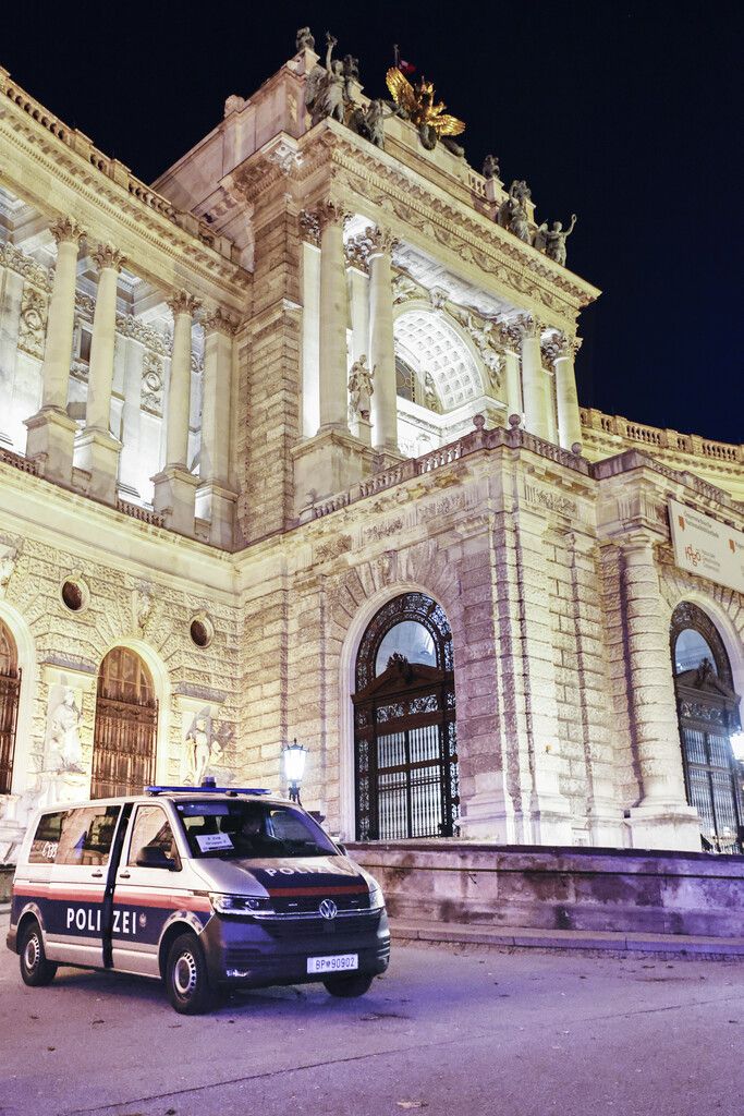Der Ball fand in der Hofburg statt. APA