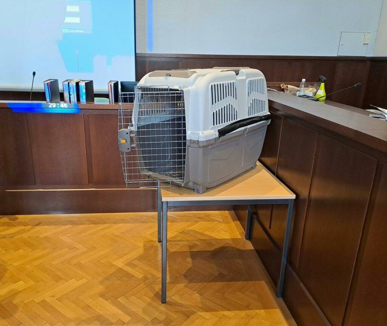 In diese Hundebox soll die Mutter ihr Kind gesperrt haben. Das Foto entstand im Rahmen des Prozesses am Landesgericht in Krems. APA