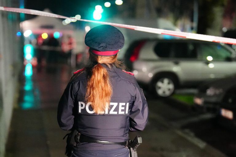 Die Tat ereignete sich am Abend des 23. Februar.APA/Hochmuth