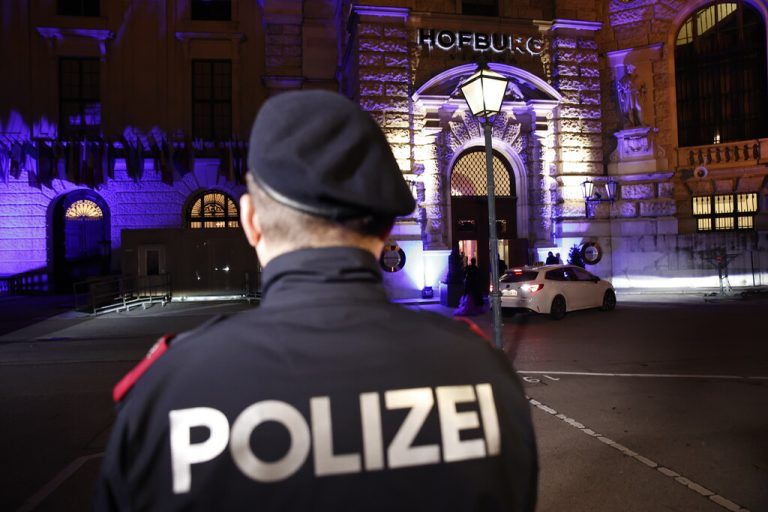 Die Polizei sucht den Täter. apa
