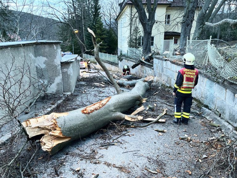 In Mödling waren die Einsatzkräfte gefordert.APA/WWW,FFMOEDLING.AT