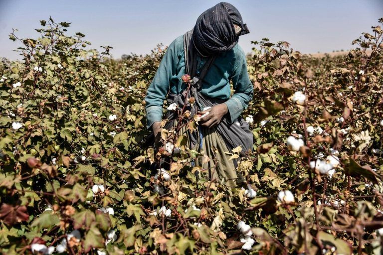 Das Gesetz soll unter anderem für faire Arbeitsbedingungen in den Ländern sorgen, aus denen in die EU importiert wird.stiplovsek (2), Hartinger (3), lerch, steurer, javed tanveer/afp