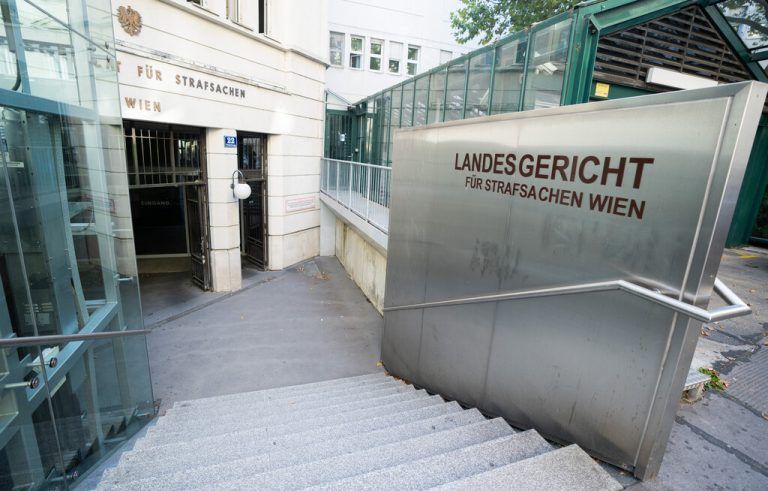 Der 30-Jährige stand nicht alleine vor Gericht. Auch seine 50-jährige Mutter saß auf der Anklagebank. APA/GEORG HOCHMUTH