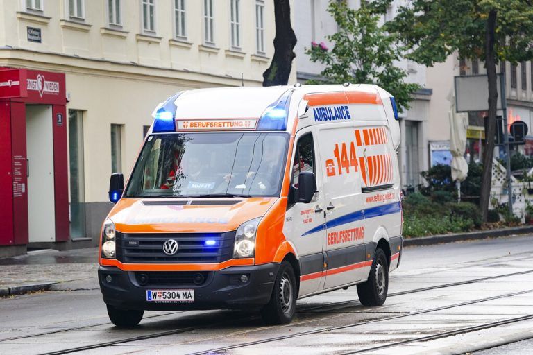 Die Berufsrettung versorgte den Mann.apa