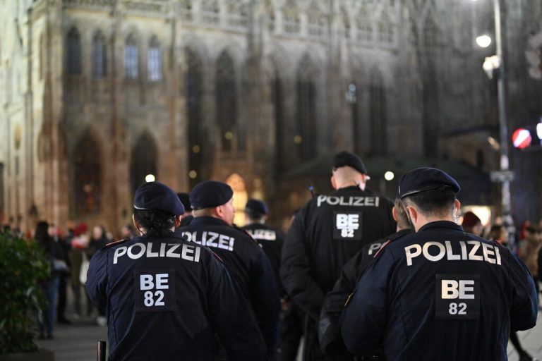 Die Polizei konnte alle vier Täter festnehmen.APA