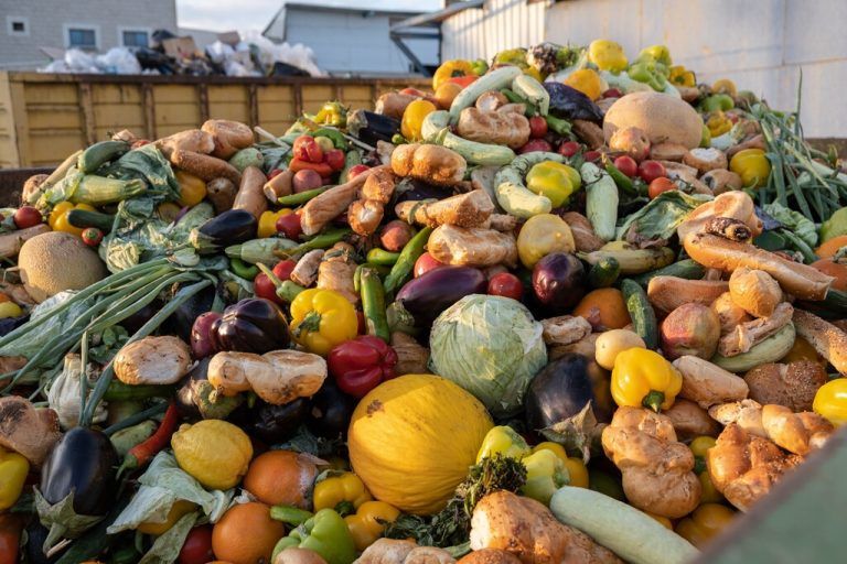 Obst und Gemüse machen den größten Anteil an weggeworfenen Lebensmitteln aus. Shutterstock