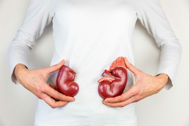Organspenden retten Leben.Shutterstock