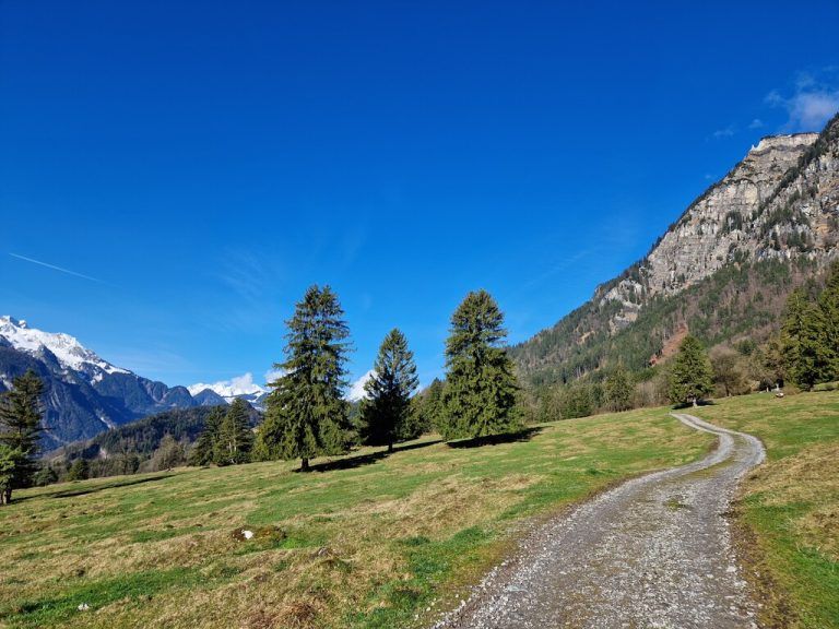 Schöne Ausblicke auf die Bergwelt, aber auch Natur-Schönheiten gibt es zu bewundern.Gerhard Vylet (5)