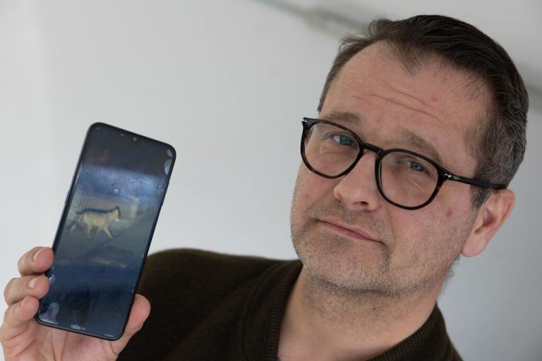Thomas Jagschitz filmte den Wolf in Bludenz. Hartinger