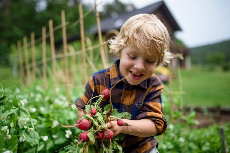 Beim Anlegen eines Kinderbeetes werden junge Gärtner mit der Natur vertraut gemacht. Empfehlenswert sind alle Sorten, die schnell wachsen.Shutterstock