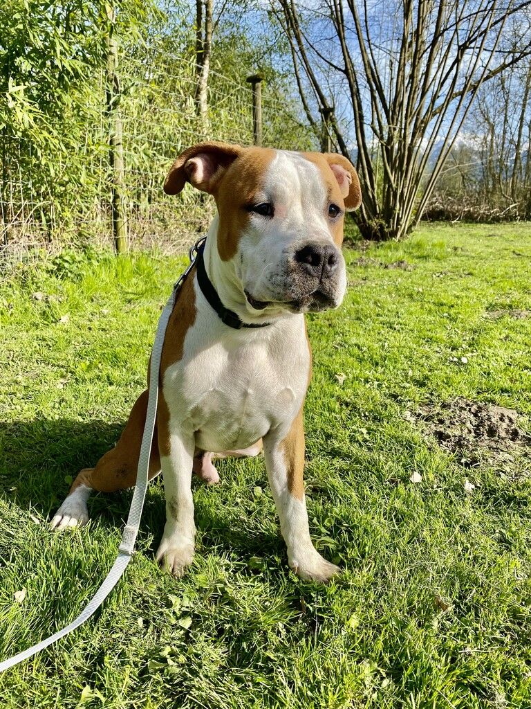 Bruno will noch viel erleben.