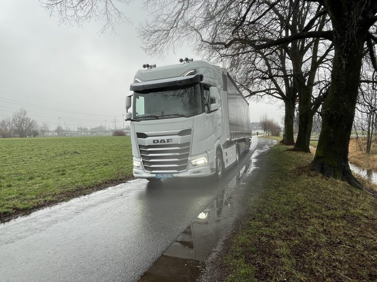 Die Lkw-Straßenvariante führt durch das Altacher Naherholungsgebiet.holzer