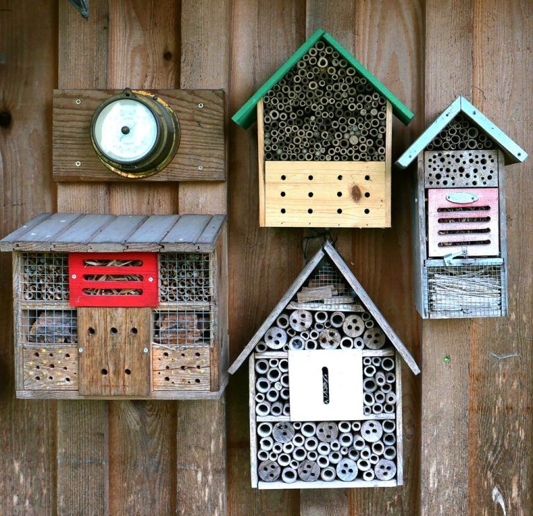 Ein Insektenhotel im Garten ist dekorativ und nützlich.Mo0smann-Hämmerle (3)