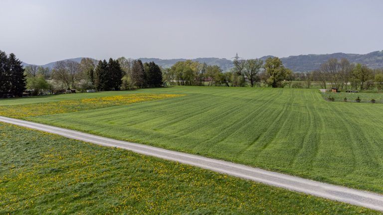 Eine Straße, viele Meinungen: Willi Witzemann, Heribert Hütter und Bernd Schnetzer(von oben nach unten).