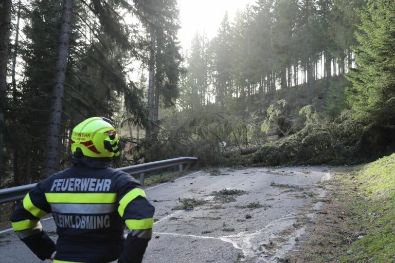 Sturm hielt Feuerweheren auf Trab. APA