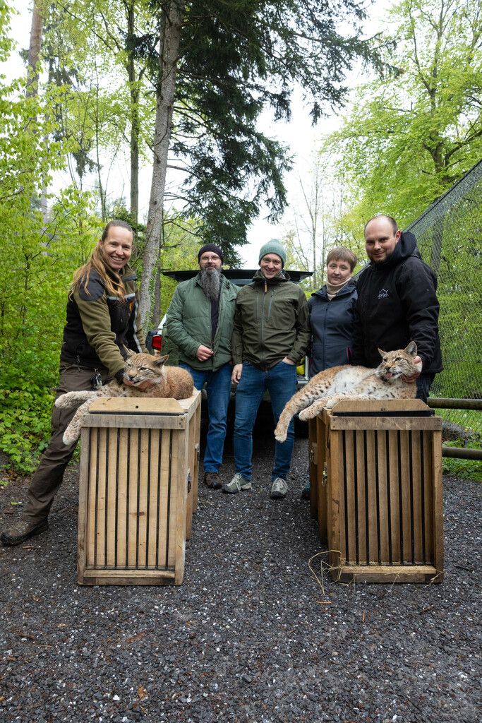 Tierpflegerin Birgit Wedl und Wildpark-Betriebsleiter Chris­tian Ammann mit Mitarbeitern der Westpommerschen Naturgesellschaft.