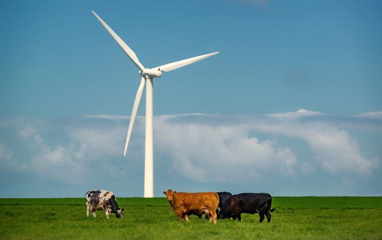 Vorarlberg leistet sich keine Glanzleistung beim Thema Windräder. Zumindest noch nicht.⇒symbolbild/stiplovsek
