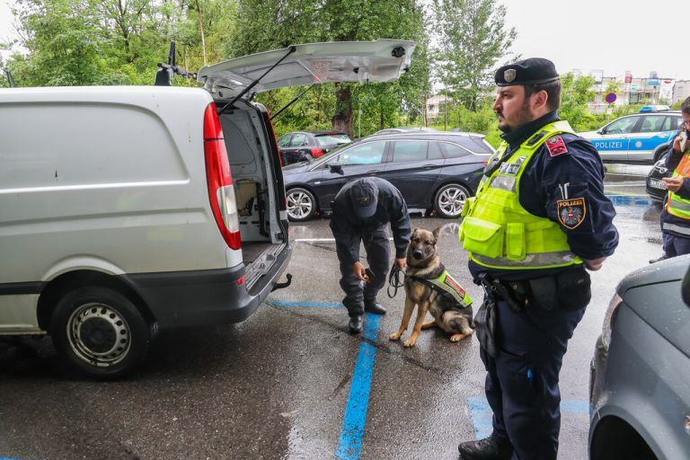Auch Vierbeiner unterstützten die Polizei. Steurer