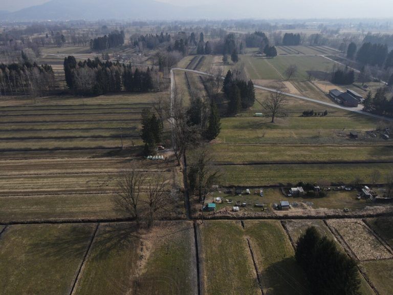 Die Leiche der 30-jährigen Dornbirnerin Janine G. wurde in einem Graben im Lustenauer Ried abgelegt. Hartinger