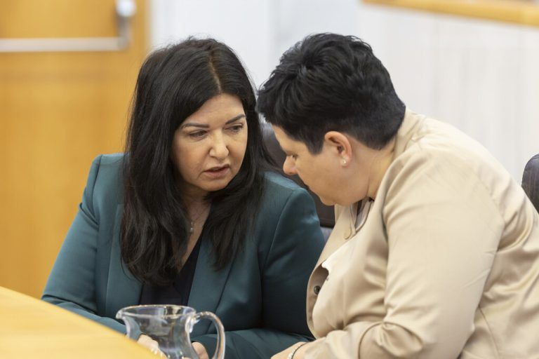 Die SPÖ-Abgeordneten Manuela Auer und Elke Zimmermann haben im Landtag zwei Anträge zur Pflege eingebracht. Maurice Shourot