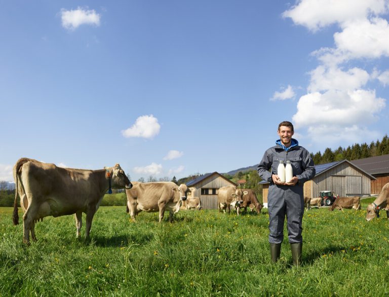 Etwa 1200 landwirtschaftliche Betriebe in der Milchwirtschaft gibt es im Land.VLK/Bereuter/Felder, Hartinger