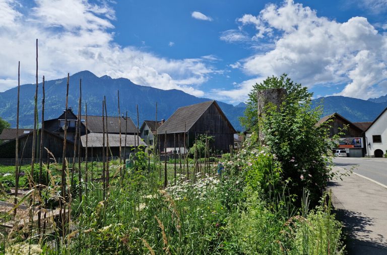 Foto oben: Mitten in Bludesch wird der Natur im „Schwarzbachgarta“ Platz geboten.Gerhard vylet (4)