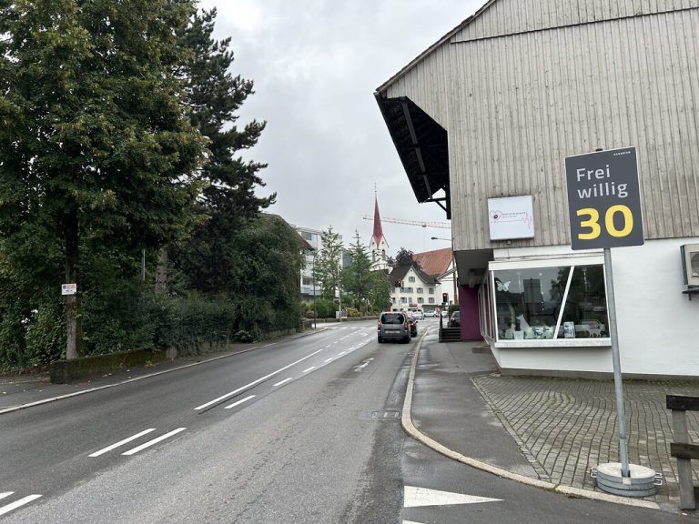 In Haselstauden sorgt der Verkehr für Unmut, eine Temporeduktion soll her.VOL