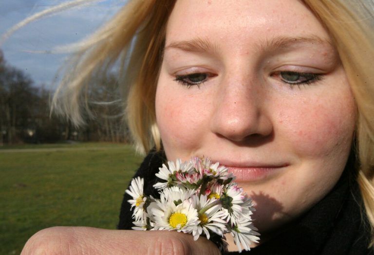 Das beliebte Gänseblümchen verzaubert mit seinem zierlichen Aussehen.DPA
