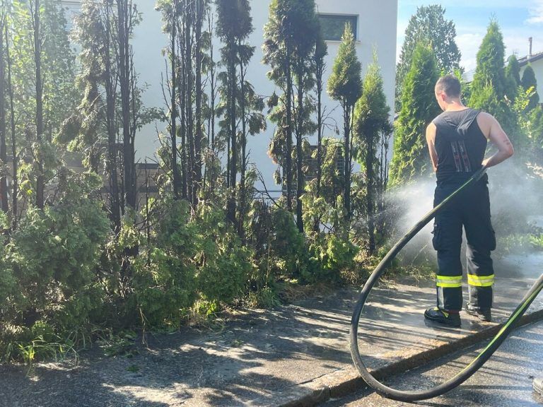 Die Feuerwehr war schnell vor Ort. vol.at/meusburger