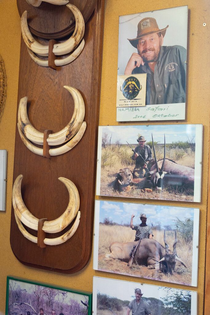 Erinnerungen an die Großwildjagd in Afrika.