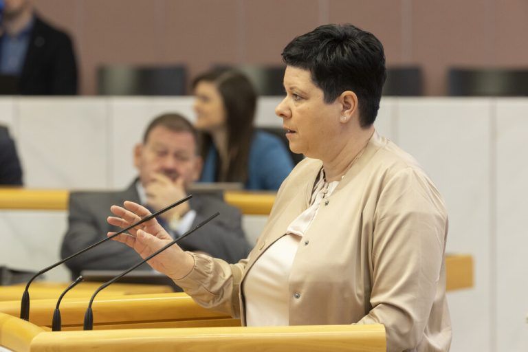 SPÖ-Gesundheitssprecherin Elke Zimmermann hatte keine Freude mit den Freiheitlichen.Maurice Shourot (3)