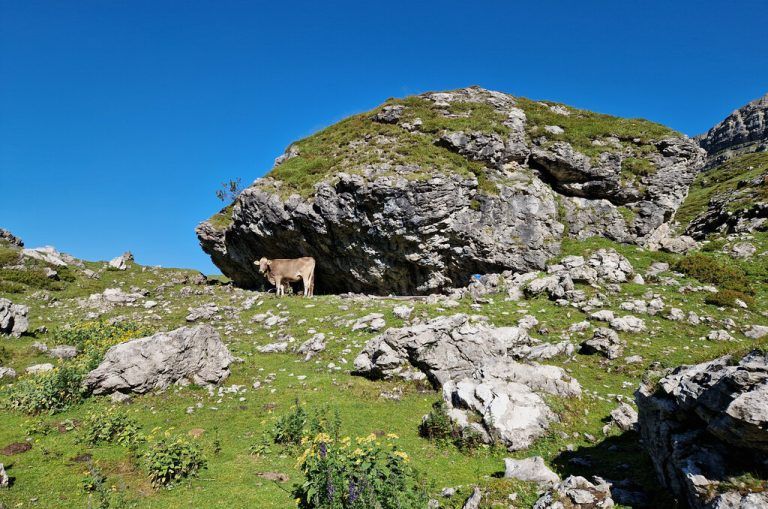 Blick von der Schwarzen Furka auf Pitschiköpfe und Gamsfreiheit (r.).Vylet (4)
