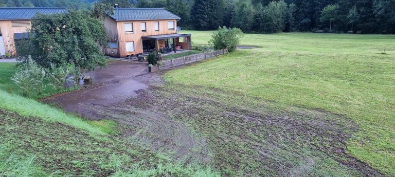 Das Gewitter hat den Garten verwüstet. ⇒Ortsfreuerwehr St. Gallenkirch