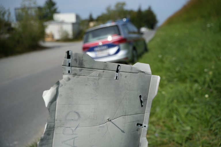 Der Pizzakarton nach der Spurensicherung durch die Polizei. ⇒SPÖ