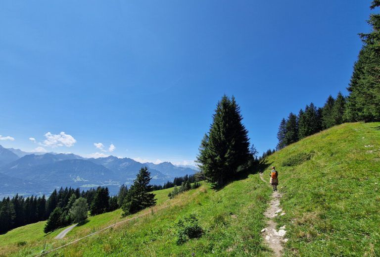 Hinauf zur Hinterjoch-Alpe mit Blick auf den Hoch­gerach (r.). Ein aussichtsreicher Rückweg (oben).⇒Vylet (4)