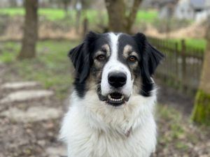 Gemeinsam glücklich