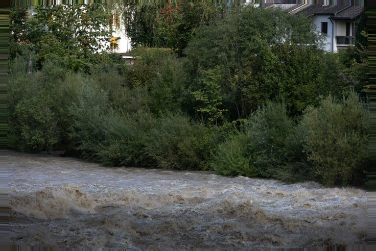 Die Leiche der Frau wurde am Ufer der Bregenzerach, unweit eines Schrebergartens in Kennelbach gefunden. ⇒Hartinger (2)