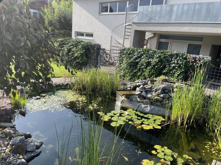 Ein malerischer Wassergarten bei Kerstin aus Schlins.