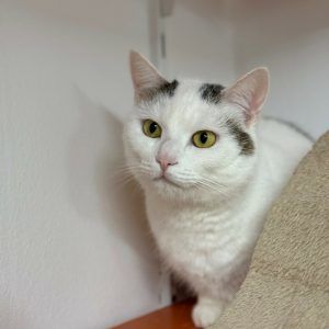 Gemeinsam glücklich